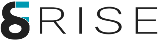 SEORISE Dark Logo