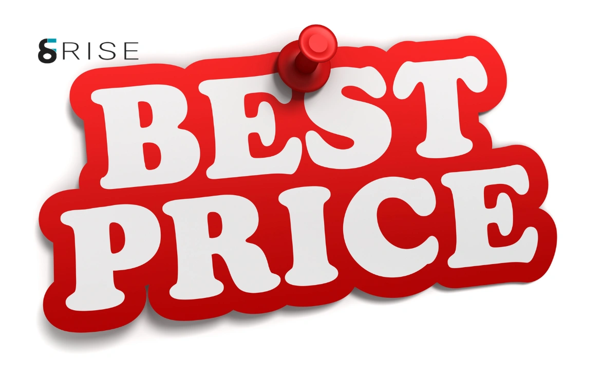 difference of website price